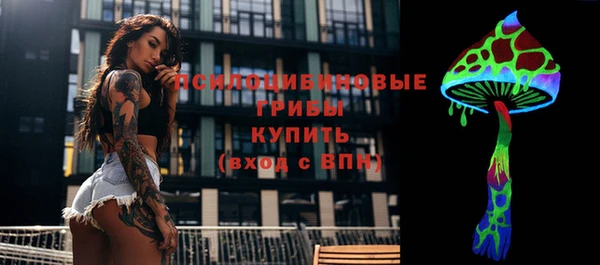 амф Абаза