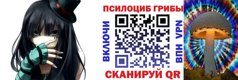 Псилоцибиновые грибы Cubensis Азнакаево